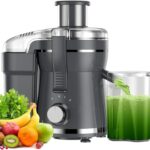 Juicer Machine, 500W Centrifugal Juicer Extractor with 3 Speed & Wide Mouth 3” Feed Chute for Fruit Vegetable, High Yield Juicer Included Cleaning Brush for Easy to Clean