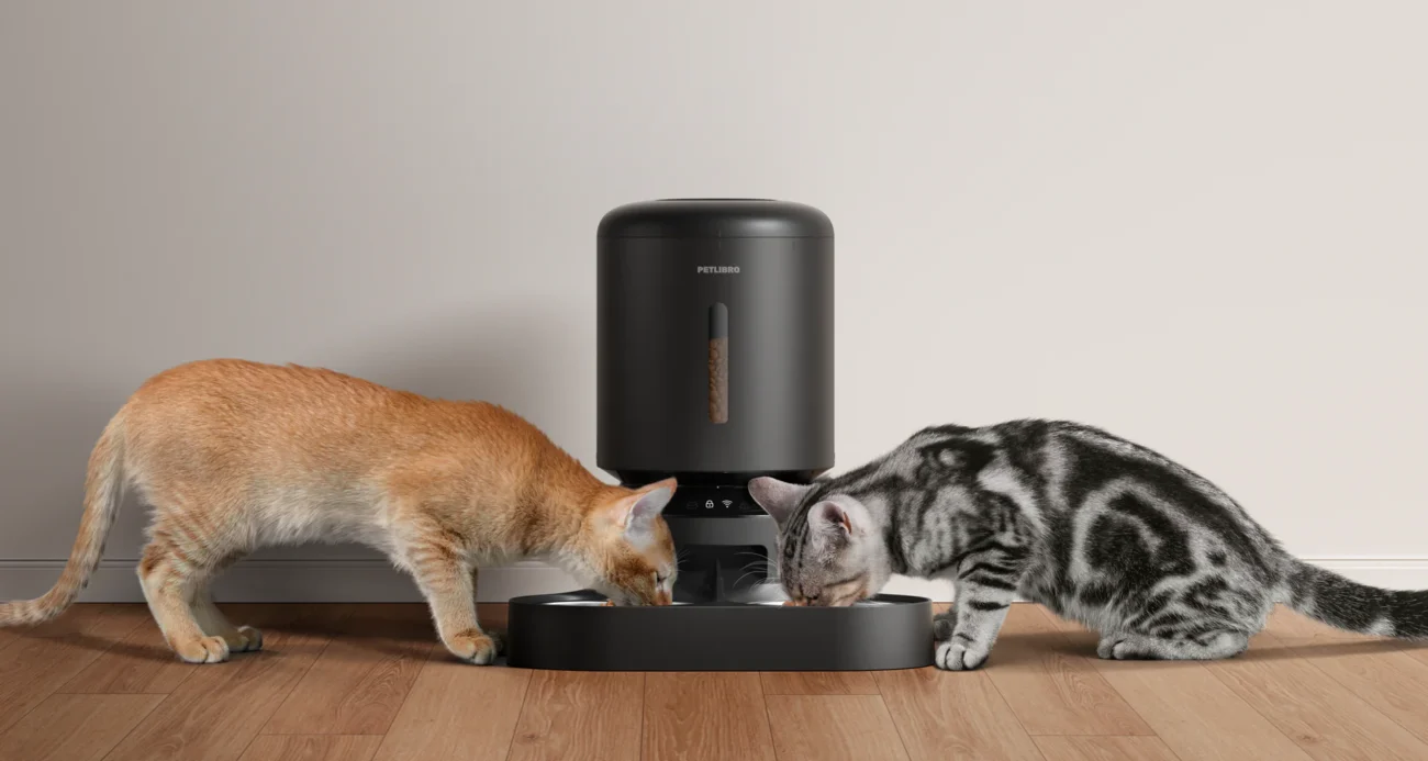 petlibro-wifi-automatic-cat-feeder.jpg